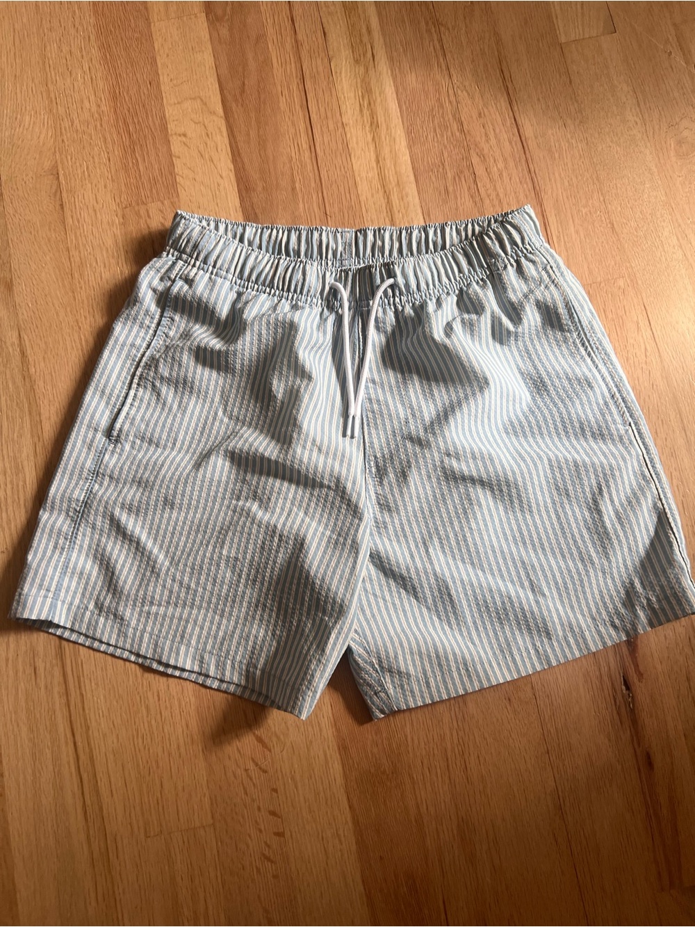 Hollister Light Blue and White Striped Swim Trunks